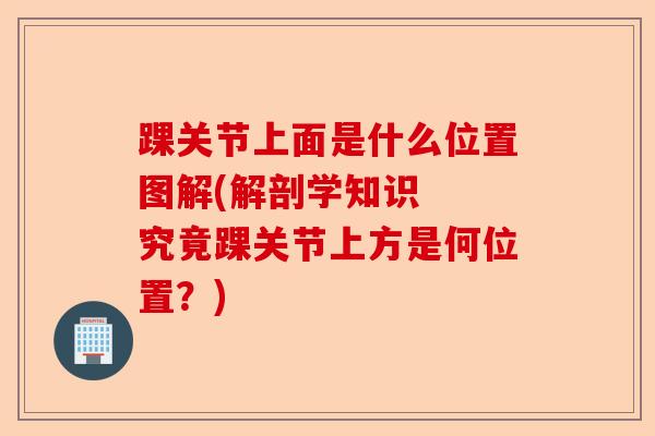 踝关节上面是什么位置图解(解剖学知识  究竟踝关节上方是何位置？)