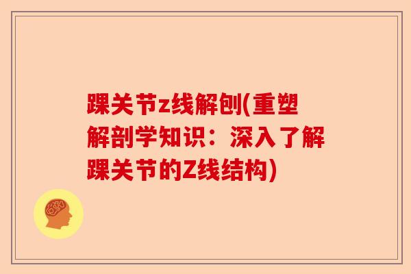 踝关节z线解刨(重塑解剖学知识：深入了解踝关节的Z线结构)
