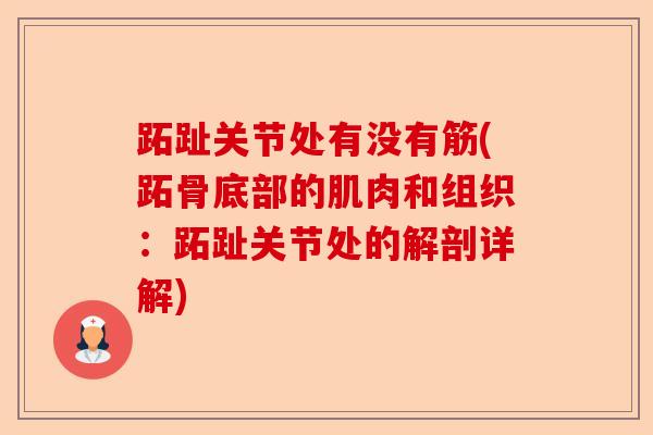 跖趾关节处有没有筋(跖骨底部的肌肉和组织：跖趾关节处的解剖详解)