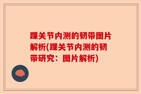 踝关节内测的韧带图片解析(踝关节内测的韧带研究：图片解析)