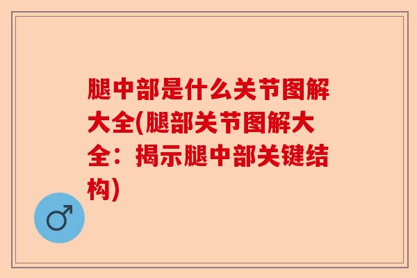 腿中部是什么关节图解大全(腿部关节图解大全：揭示腿中部关键结构)