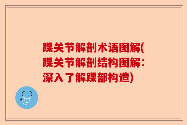 踝关节解剖术语图解(踝关节解剖结构图解：深入了解踝部构造)