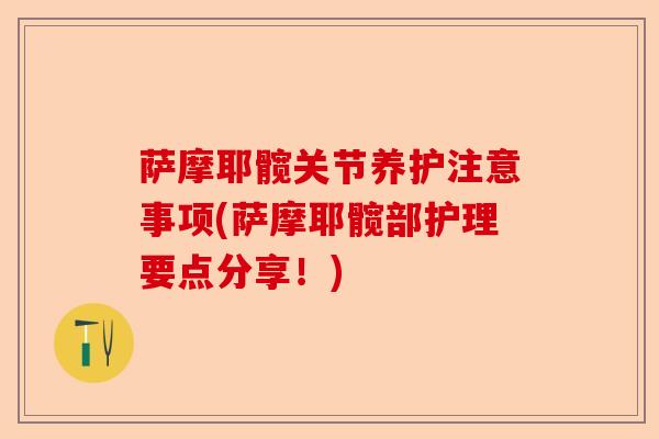 萨摩耶髋关节养护注意事项(萨摩耶髋部护理要点分享！)
