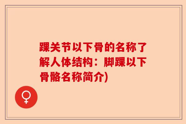 踝关节以下骨的名称了解人体结构：脚踝以下骨骼名称简介)