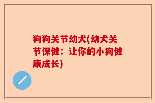 狗狗关节幼犬(幼犬关节保健：让你的小狗健康成长)