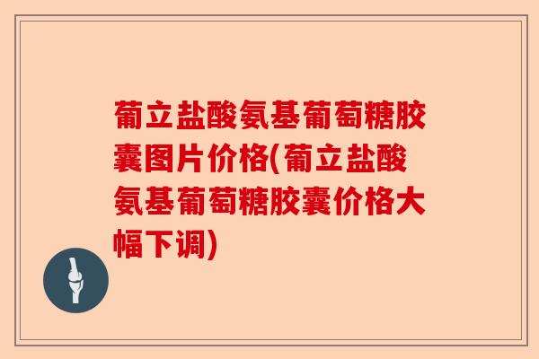 葡立盐酸氨基葡萄糖胶囊图片价格(葡立盐酸氨基葡萄糖胶囊价格大幅下调)