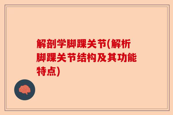 解剖学脚踝关节(解析脚踝关节结构及其功能特点)