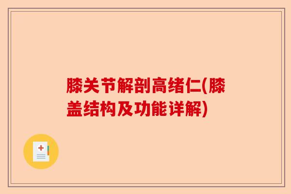 膝关节解剖高绪仁(膝盖结构及功能详解)