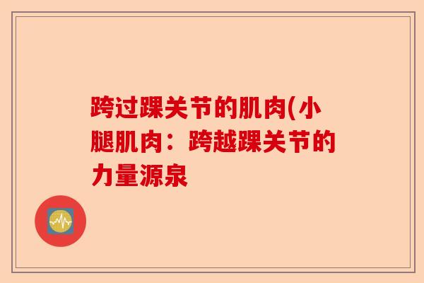 跨过踝关节的肌肉(小腿肌肉：跨越踝关节的力量源泉