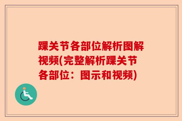踝关节各部位解析图解视频(完整解析踝关节各部位：图示和视频)
