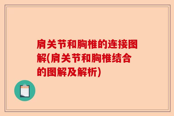 肩关节和胸椎的连接图解(肩关节和胸椎结合的图解及解析)