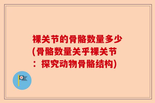 裸关节的骨骼数量多少(骨骼数量关乎裸关节：探究动物骨骼结构)