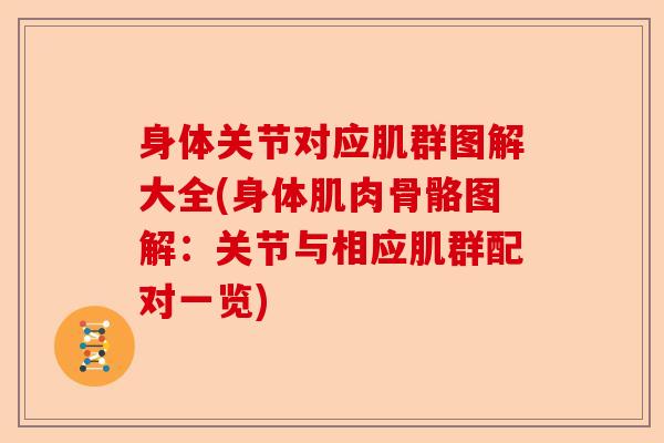 身体关节对应肌群图解大全(身体肌肉骨骼图解：关节与相应肌群配对一览)