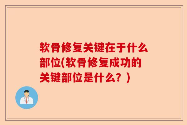 软骨修复关键在于什么部位(软骨修复成功的关键部位是什么？)