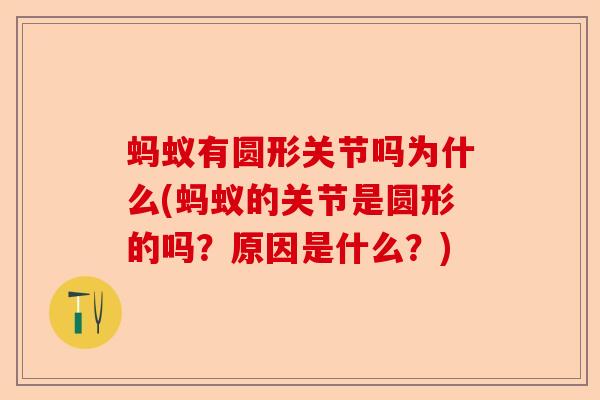 蚂蚁有圆形关节吗为什么(蚂蚁的关节是圆形的吗？原因是什么？)