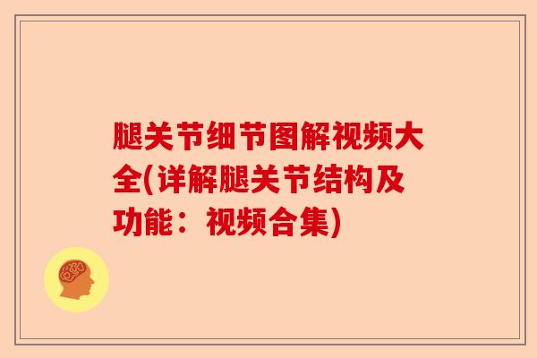 腿关节细节图解视频大全(详解腿关节结构及功能：视频合集)