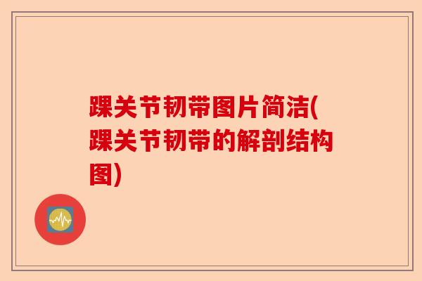 踝关节韧带图片简洁(踝关节韧带的解剖结构图)