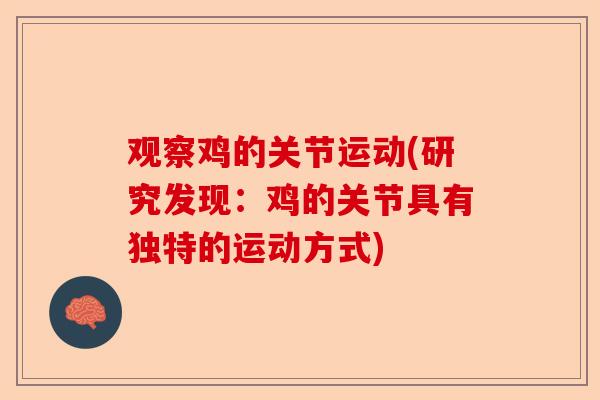 观察鸡的关节运动(研究发现：鸡的关节具有独特的运动方式)