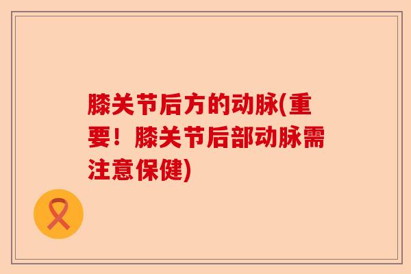 膝关节后方的动脉(重要！膝关节后部动脉需注意保健)