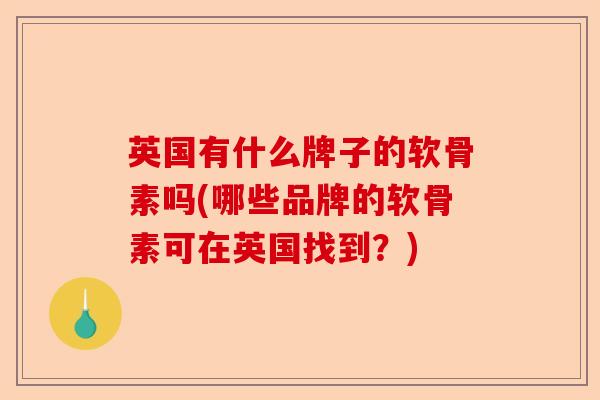 英国有什么牌子的软骨素吗(哪些品牌的软骨素可在英国找到？)