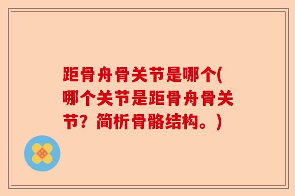 距骨舟骨关节是哪个(哪个关节是距骨舟骨关节？简析骨骼结构。)
