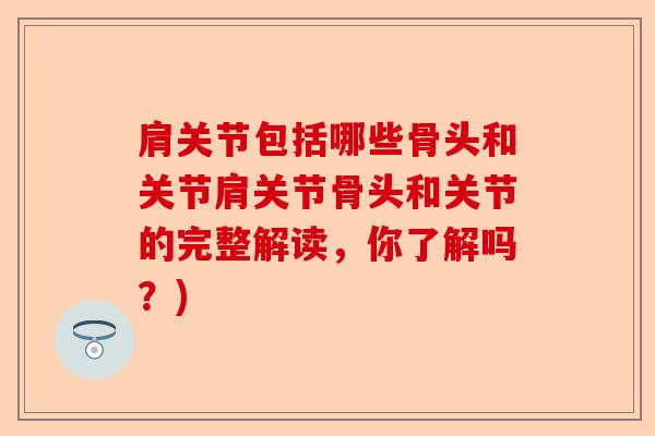 肩关节包括哪些骨头和关节肩关节骨头和关节的完整解读，你了解吗？)