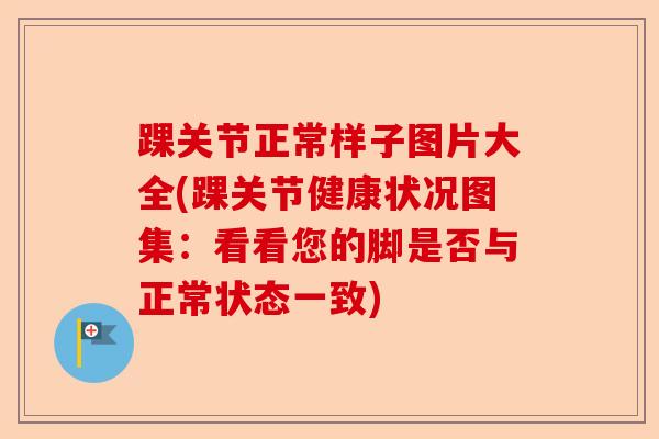 踝关节正常样子图片大全(踝关节健康状况图集：看看您的脚是否与正常状态一致)