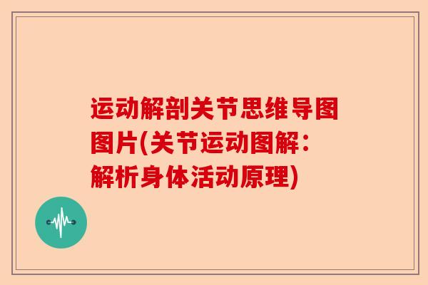 运动解剖关节思维导图图片(关节运动图解：解析身体活动原理)