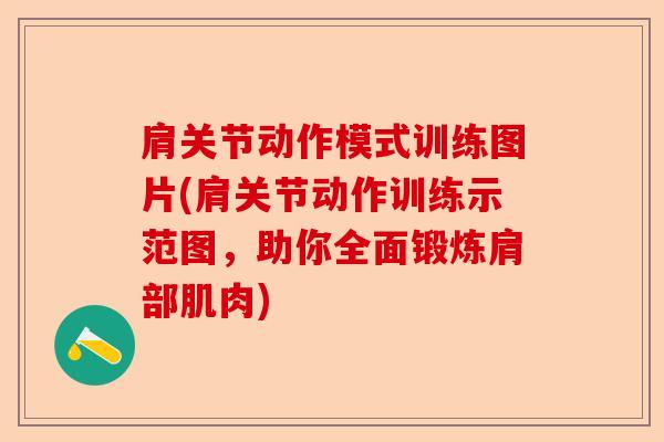 肩关节动作模式训练图片(肩关节动作训练示范图,助你全面锻炼肩部肌肉) 肩关节动作模式训练图片(肩关节动作训练示范图,助你全面锻炼肩部肌肉)