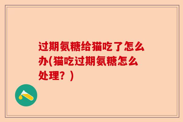过期氨糖给猫吃了怎么办(猫吃过期氨糖怎么处理？)