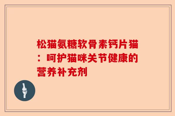 松猫氨糖软骨素钙片猫:呵护猫咪关节健康的营养补充剂 松猫氨糖软骨素钙片猫:呵护猫咪关节健康的营养补充剂