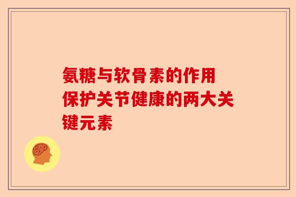 氨糖与软骨素的作用 保护关节健康的两大关键元素
