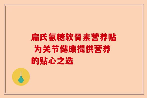 扁氏氨糖软骨素营养贴 为关节健康提供营养的贴心之选