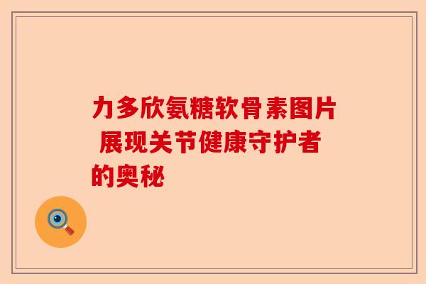 力多欣氨糖软骨素图片 展现关节健康守护者的奥秘