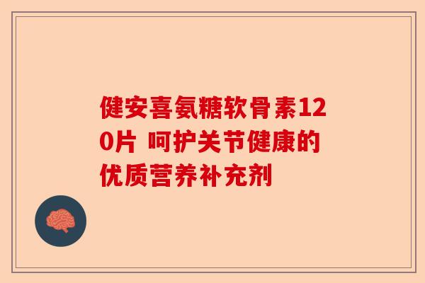 健安喜氨糖软骨素120片 呵护关节健康的优质营养补充剂 健安喜氨糖软骨素120片 呵护关节健康的优质营养补充剂