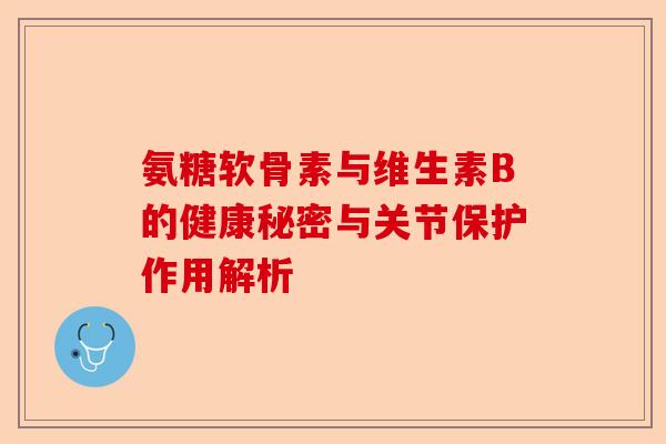 氨糖软骨素与维生素B的健康秘密与关节保护作用解析 氨糖软骨素与维生素B的健康秘密与关节保护作用解析