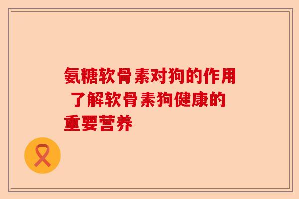 氨糖软骨素对狗的作用 了解软骨素狗健康的重要营养