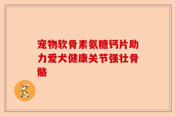 宠物软骨素氨糖钙片助力爱犬健康关节强壮骨骼