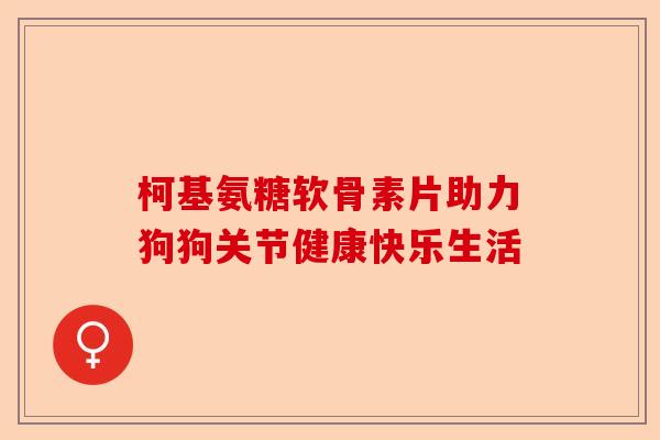 柯基氨糖软骨素片助力狗狗关节健康快乐生活