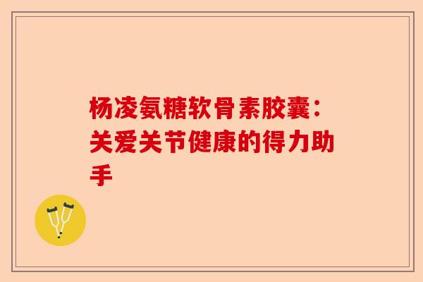 杨凌氨糖软骨素胶囊：关爱关节健康的得力助手