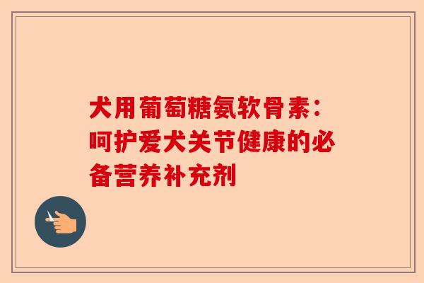 犬用葡萄糖氨软骨素：呵护爱犬关节健康的必备营养补充剂