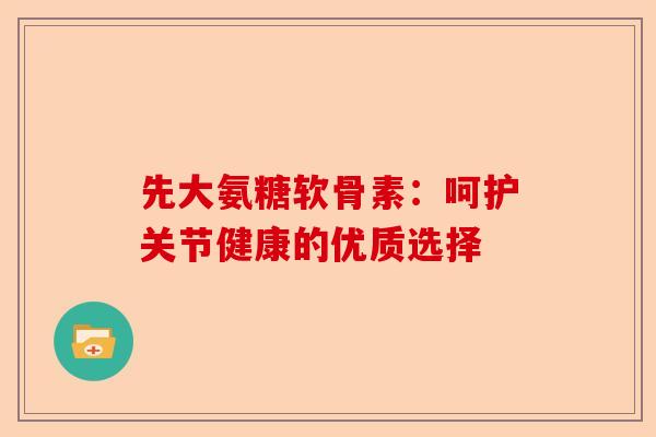 先大氨糖软骨素:呵护关节健康的优质选择 先大氨糖软骨素:呵护关节健康的优质选择