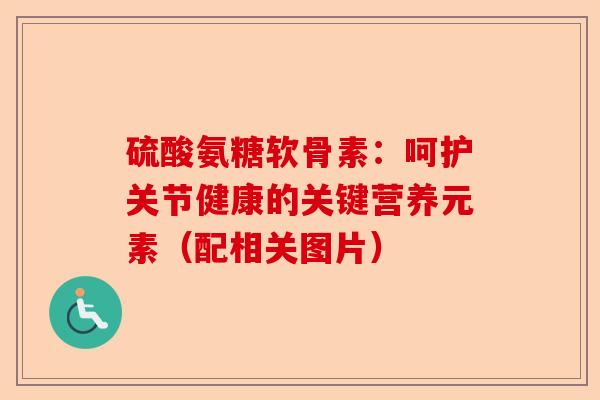 硫酸氨糖软骨素：呵护关节健康的关键营养元素（配相关图片）