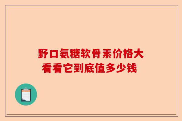 野口氨糖软骨素价格大 看看它到底值多少钱