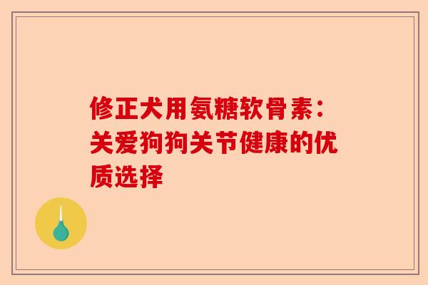 修正犬用氨糖软骨素:关爱狗狗关节健康的优质选择 修正犬用氨糖软骨素:关爱狗狗关节健康的优质选择