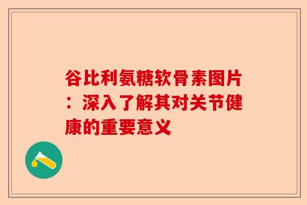 谷比利氨糖软骨素图片：深入了解其对关节健康的重要意义