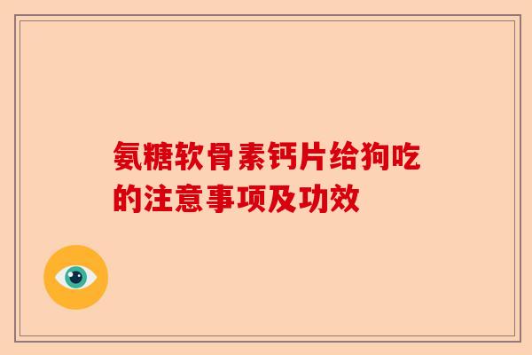 氨糖软骨素钙片给狗吃的注意事项及功效