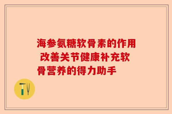 海参氨糖软骨素的作用 改善关节健康补充软骨营养的得力助手