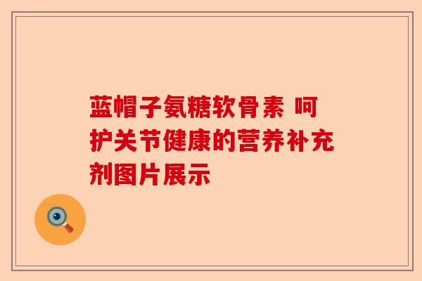 蓝帽子氨糖软骨素 呵护关节健康的营养补充剂图片展示