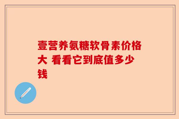 壹营养氨糖软骨素价格大 看看它到底值多少钱